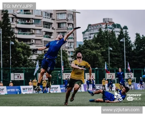 聚焦飞盘运动:成都飞盘队如何提升团队意识与竞技水平